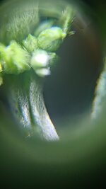 P_20251109_182213.jpg