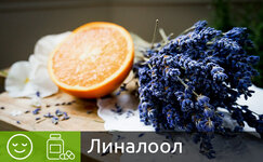 linalool__fWdVJLNKFtGfvcTE.jpg linalool__fWdVJLNKFtGfvcTE.jpg