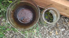 IMG_20251212_134726.jpg