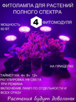 Снимок экрана 2025-12-16 223147.png