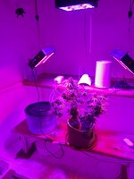 20260125_095315.jpg 20260125_095315.jpg