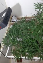 20260207_073443.jpg 20260207_073443.jpg