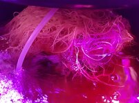 20260209_055841.jpg 20260209_055841.jpg