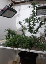 20260209_062537.jpg 20260209_062537.jpg