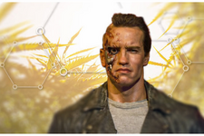 1770920197452.png 1770920197452.png