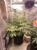 IMG_7054.jpeg