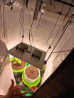 1000022724.jpg