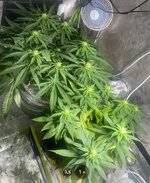 IMG_7475.jpeg