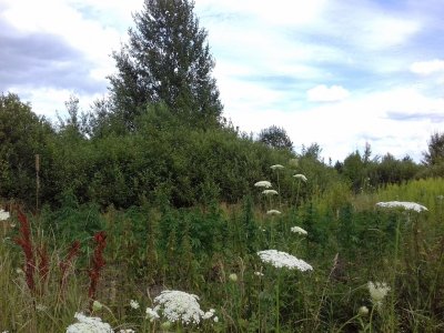 20160609_021325.jpg 20160609_021325.jpg