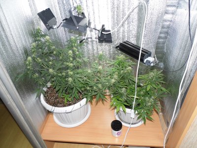 P1010374.JPG
