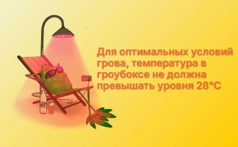 Высокая температура