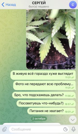 77696F71-95A1-4C57-BCDA-092AD3F79D17.jpeg