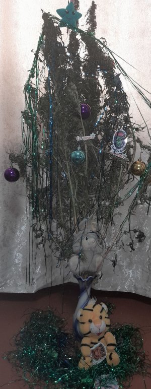 20221202_123612.jpg