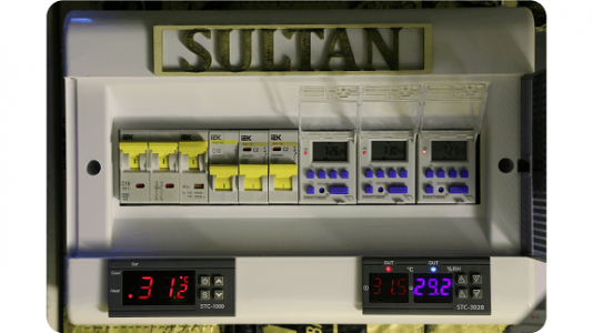 Sultan automatic.png