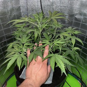 IMG_0792.jpg