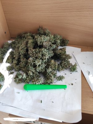 InkedIMG_20230714_114213.jpg
