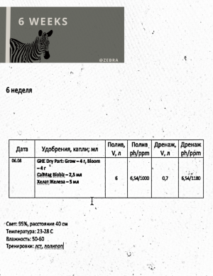 FCF69600-80D9-47A7-9ABB-6EFEACEAFEDF.png