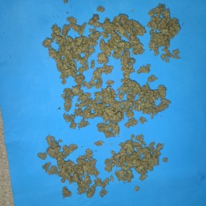 IMG20240309164753.jpg