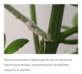 IMG_5585.jpeg